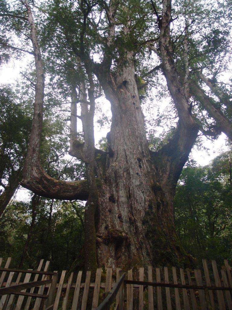 PC213765.JPG PC213765.JPG