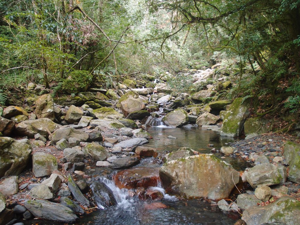 PC213777.JPG PC213777.JPG