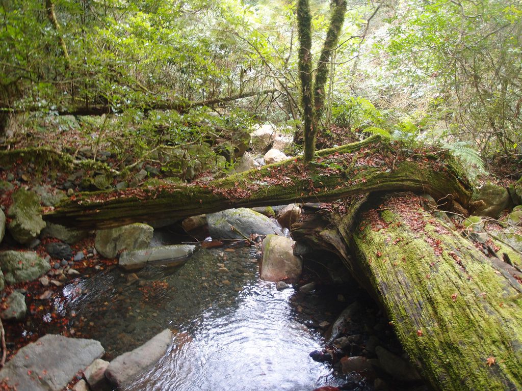 PC213780.JPG PC213780.JPG