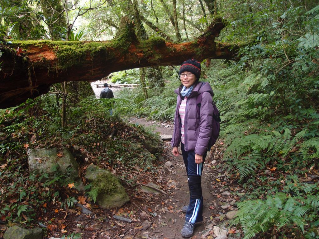 PC213783.JPG PC213783.JPG