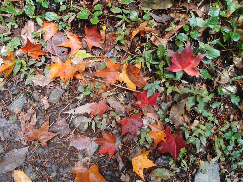 PC213797.JPG PC213797.JPG