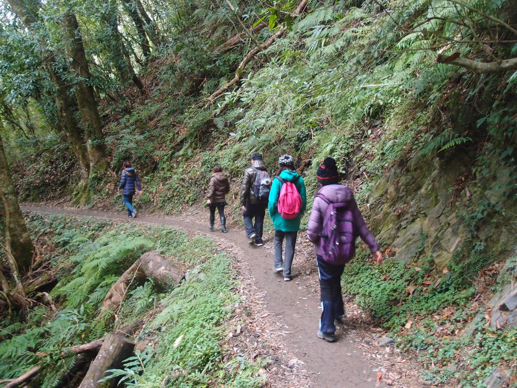 PC213877.JPG PC213877.JPG