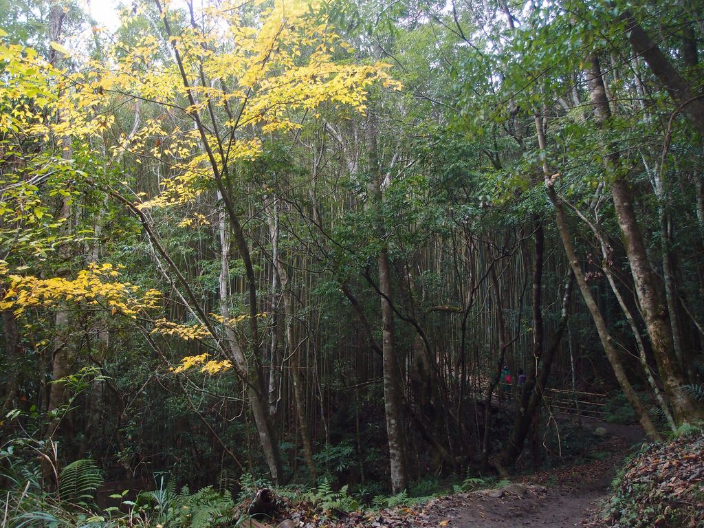 PC213899.JPG PC213899.JPG