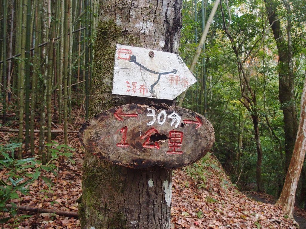 PC213910.JPG PC213910.JPG