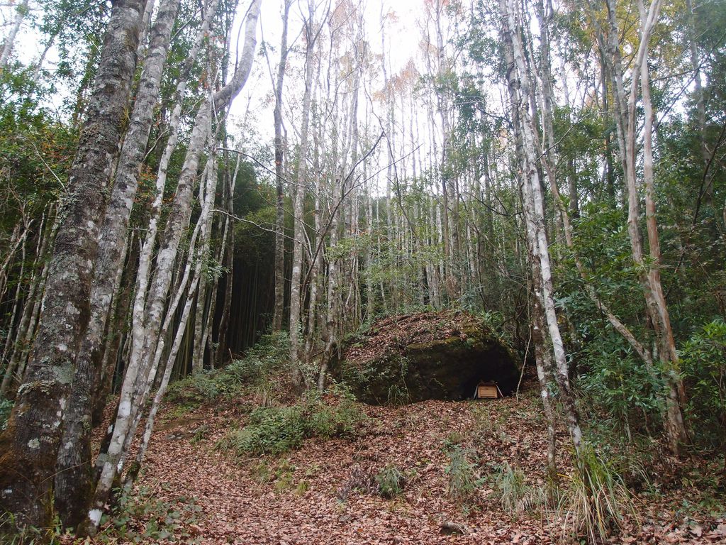 PC213915.JPG PC213915.JPG