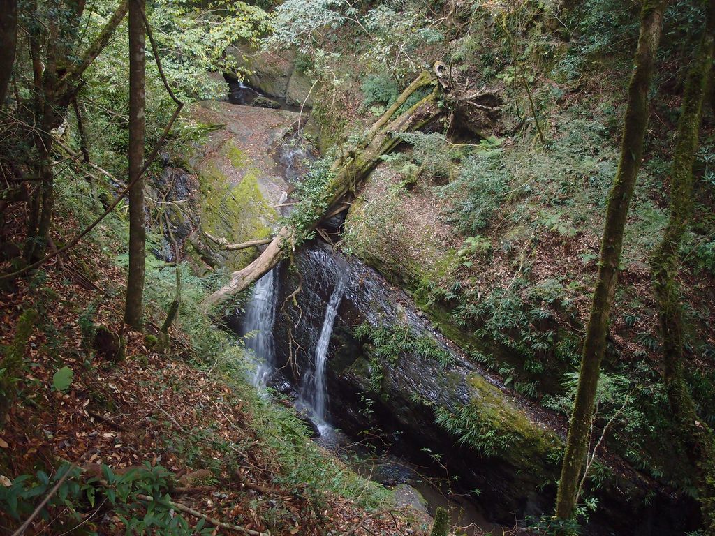 PC213920.JPG PC213920.JPG