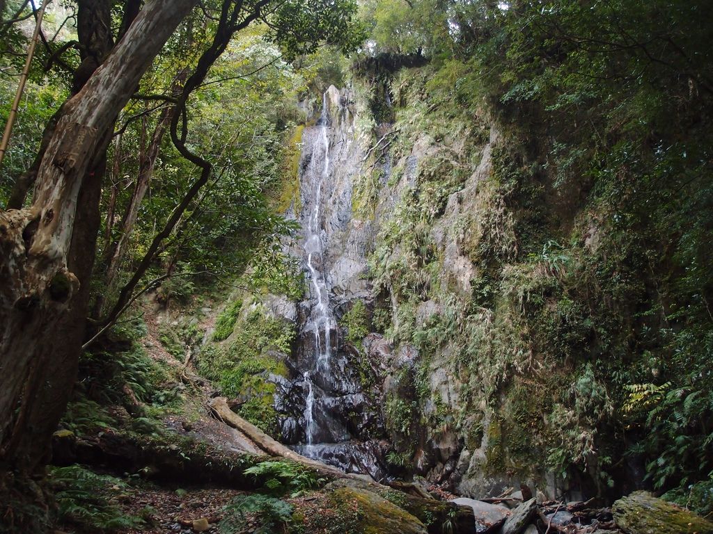 PC213933.JPG PC213933.JPG