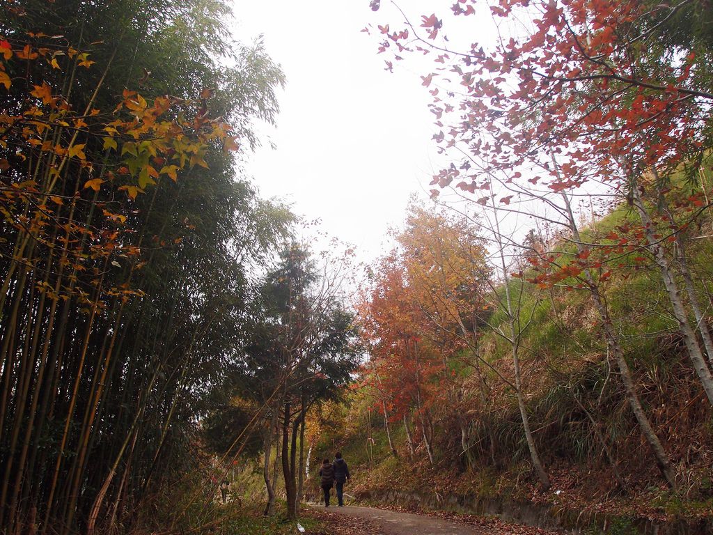 PC213965.JPG PC213965.JPG