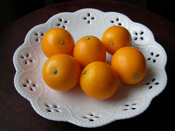1000310日本金棗SANY0055 (17).JPG 1000310日本金棗SANY0055 (17).JPG