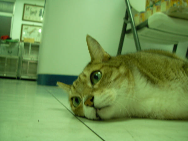 SANY0132.JPG SANY0132.JPG