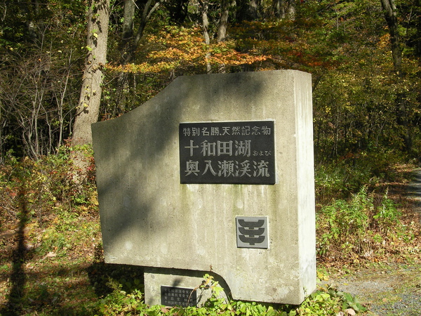 SANY0105.JPG SANY0105.JPG