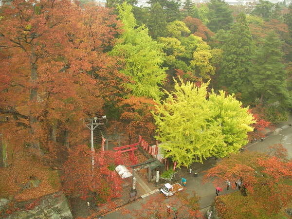 SANY0363.JPG SANY0363.JPG