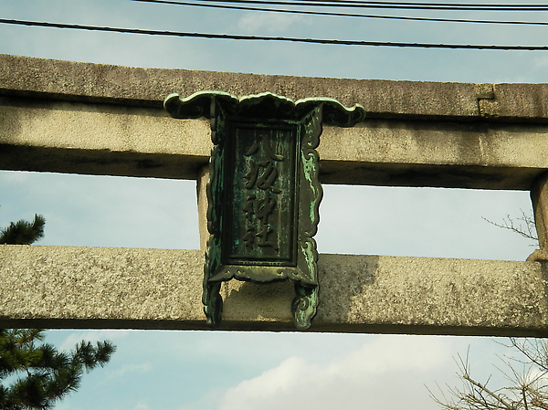 SANY0383.JPG SANY0383.JPG