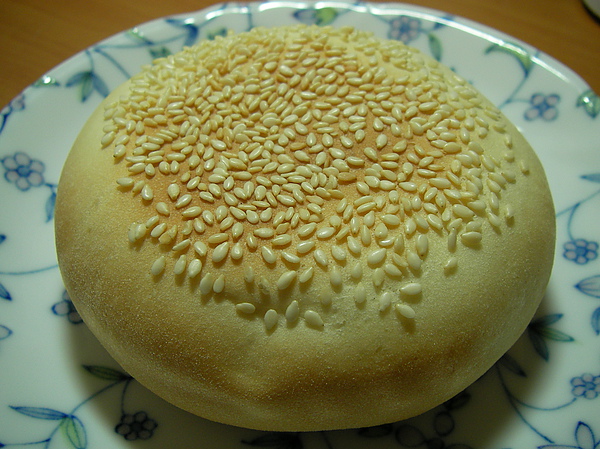 SANY0125.JPG SANY0125.JPG