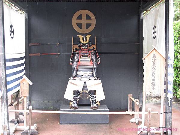 IMG_8223.JPG IMG_8223.JPG