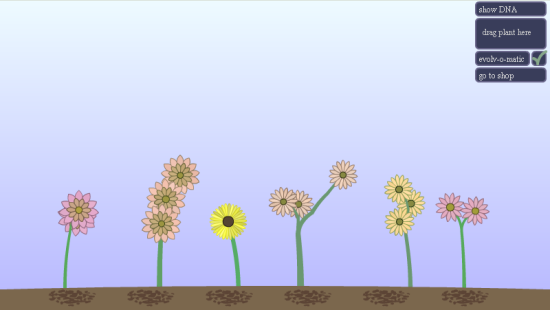 05.png 05.png