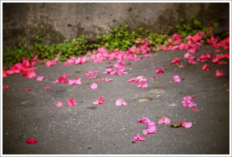 P1090548-1.JPG_effected.png P1090548-1.JPG_effected.png