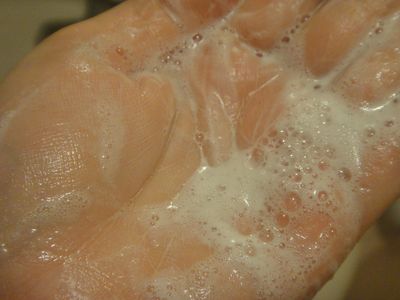 DSC03595.JPG DSC03595.JPG