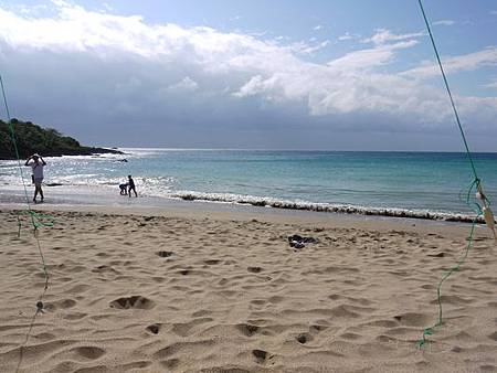 P1040272 P1040272