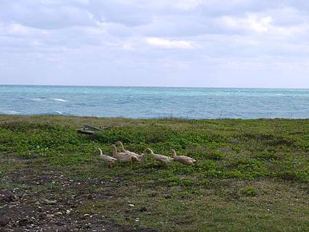 P1040321 P1040321