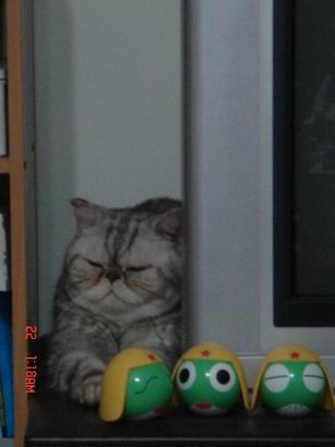 1601519540.jpg 1601519540.jpg