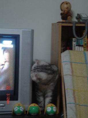 1601526879.jpg 1601526879.jpg