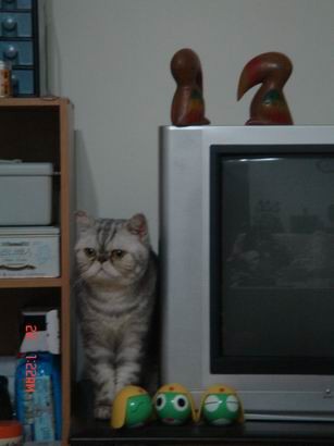 1601526880.jpg 1601526880.jpg