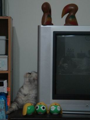 1601526881.jpg 1601526881.jpg