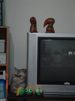 1601526883.jpg 1601526883.jpg