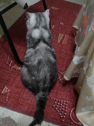 1601526884.jpg 1601526884.jpg