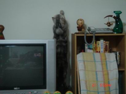 1601526886.jpg 1601526886.jpg