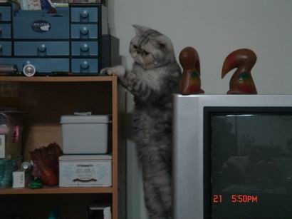 1601526887.jpg 1601526887.jpg