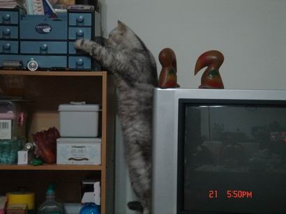 1601526888.jpg 1601526888.jpg