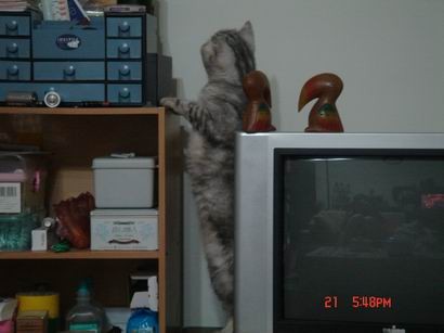 1601526889.jpg 1601526889.jpg