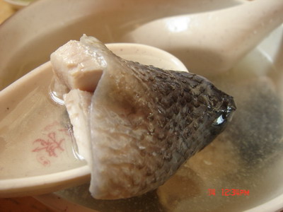 DSC09888_resize.JPG