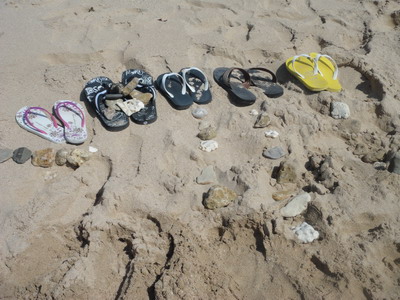 DSC00482_resize.JPG DSC00482_resize.JPG