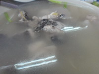 DSC00506_resize.JPG DSC00506_resize.JPG