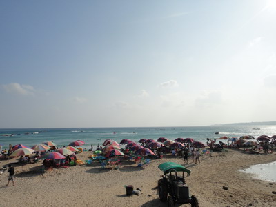 DSC00367_resize.JPG DSC00367_resize.JPG