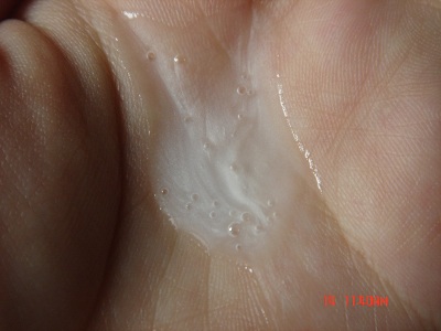 DSC01401.JPG DSC01401.JPG