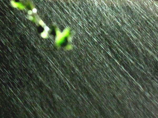 1000121 003.jpg2.jpg