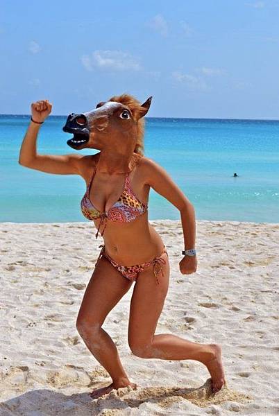 horse masks horse masks