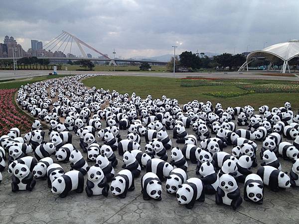 紙熊貓展_圓仔_紙台灣黑熊_黑糖_228連續假期_紙熊貓_台北市民廣場_中正紀念堂