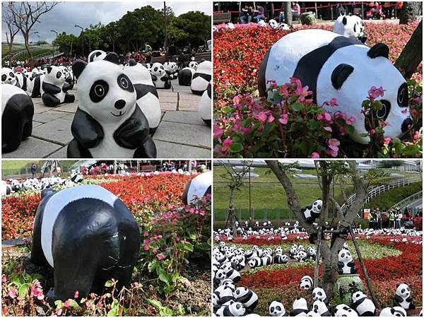 紙熊貓展_圓仔_紙台灣黑熊_黑糖_228連續假期_紙熊貓_台北市民廣場_中正紀念堂