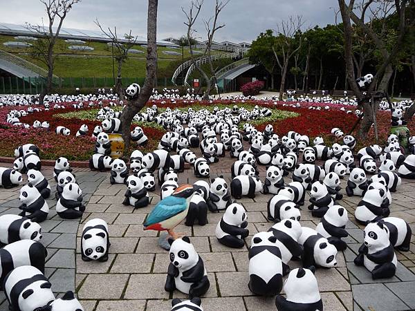 紙熊貓展_圓仔_紙台灣黑熊_黑糖_228連續假期_紙熊貓_台北市民廣場_中正紀念堂