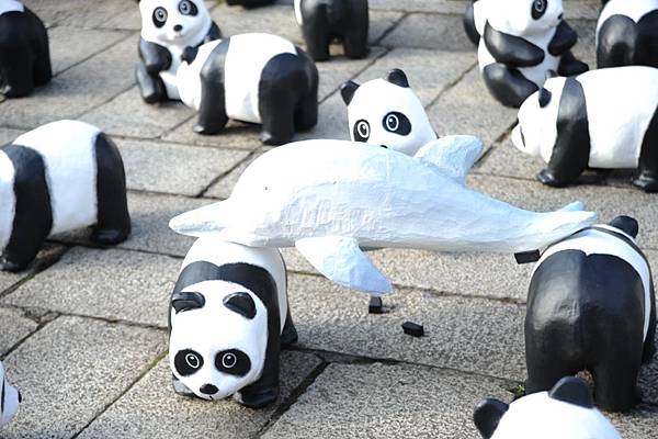 紙熊貓展_圓仔_紙台灣黑熊_黑糖_228連續假期_紙熊貓_台北市民廣場_中正紀念堂