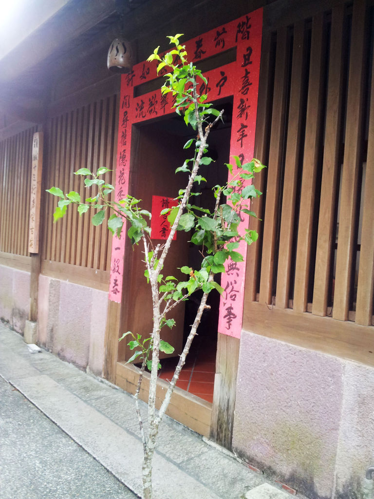 20120707_165446 20120707_165446