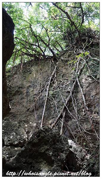 DSC00622.jpg DSC00622.jpg