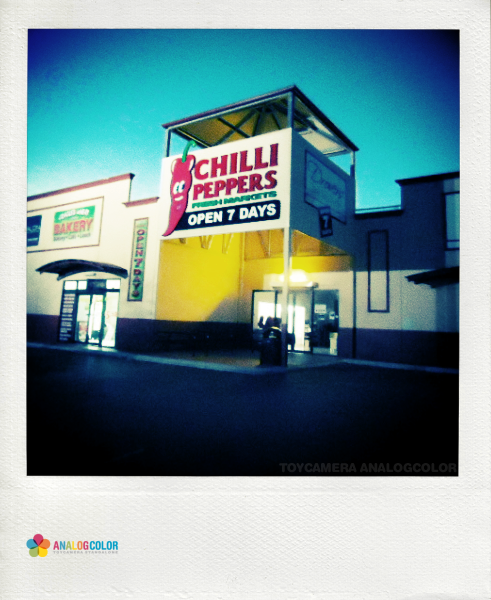 Chili Pepper in the early bloody morning.jpg_effected.png