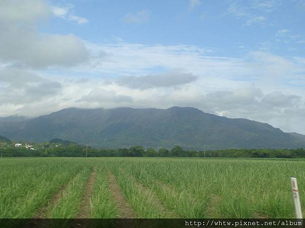 DSC08445.JPG DSC08445.JPG