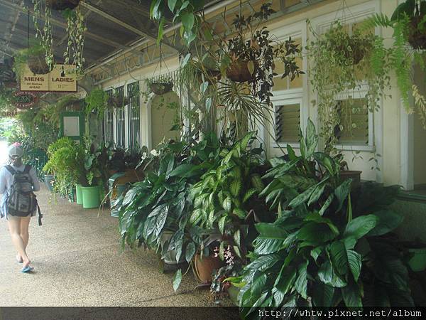 DSC08485.JPG DSC08485.JPG